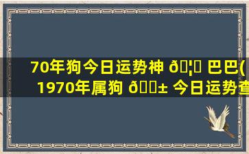 70年狗今日运势神 🦆 巴巴(1970年属狗 🐱 今日运势查询)